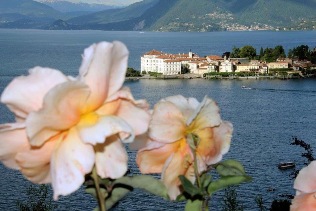 Gaia Villa *